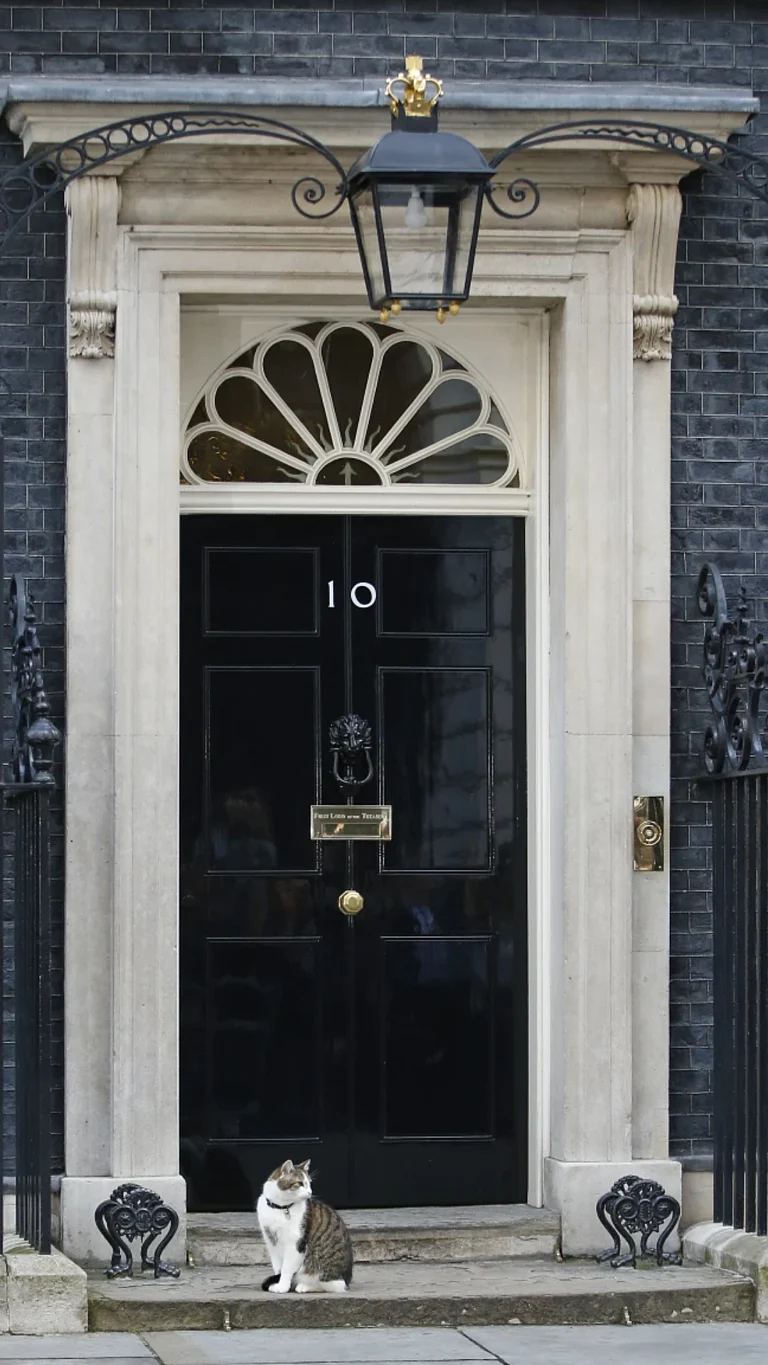 UK Elections 2024: Key Faces In The Race To 10 Downing Stree - AP