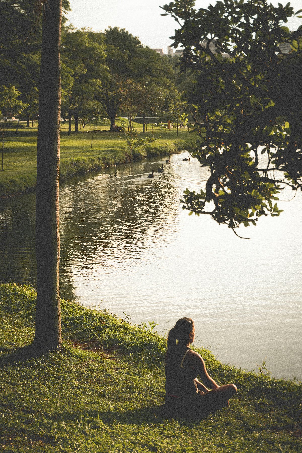 Top 5 Mindfulness Practices To Reduce Stress
