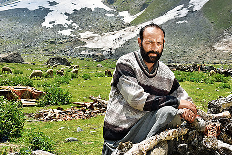 Tough Life: Abdul Rashid Chopan is a shephard by profession