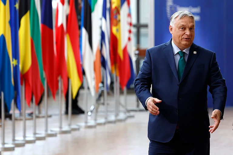null - Geert Vanden Wijngaert