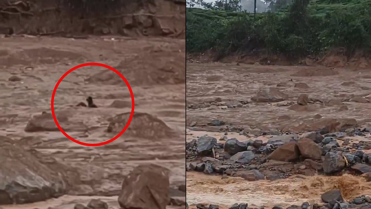 Man tries to hold on to boulder as he gets washed away by landslide in Kerala