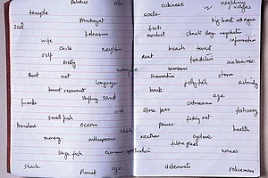 Artwork by Ravi Agarwal : Artist Diary (2013-2016)