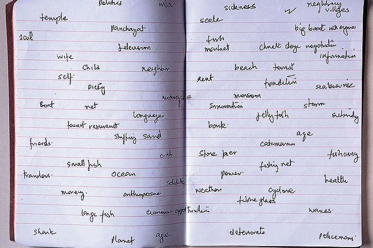 Artist Diary (2013-2016) - Artwork by Ravi Agarwal