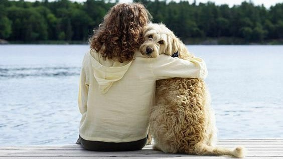 Pinterest : Representative image