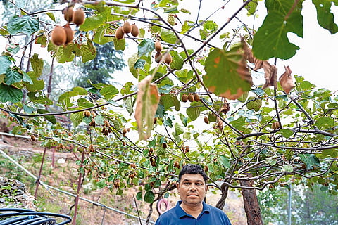 Deepak Nautiyal at his plantation farm near Pauri