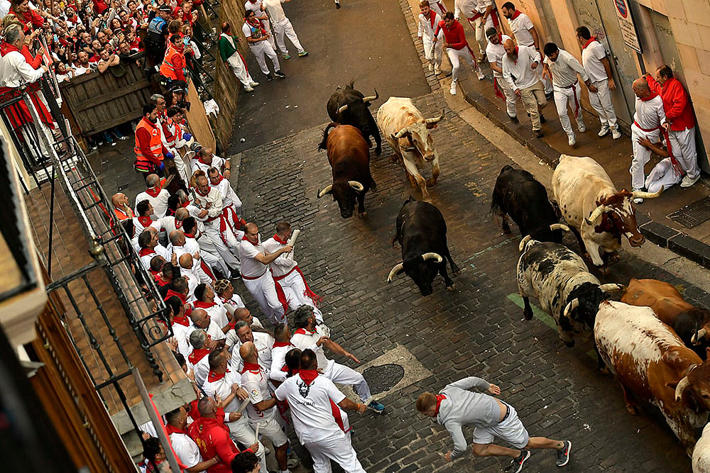 2024 San Fermin festival: Spain Running of the Bulls Photos_4