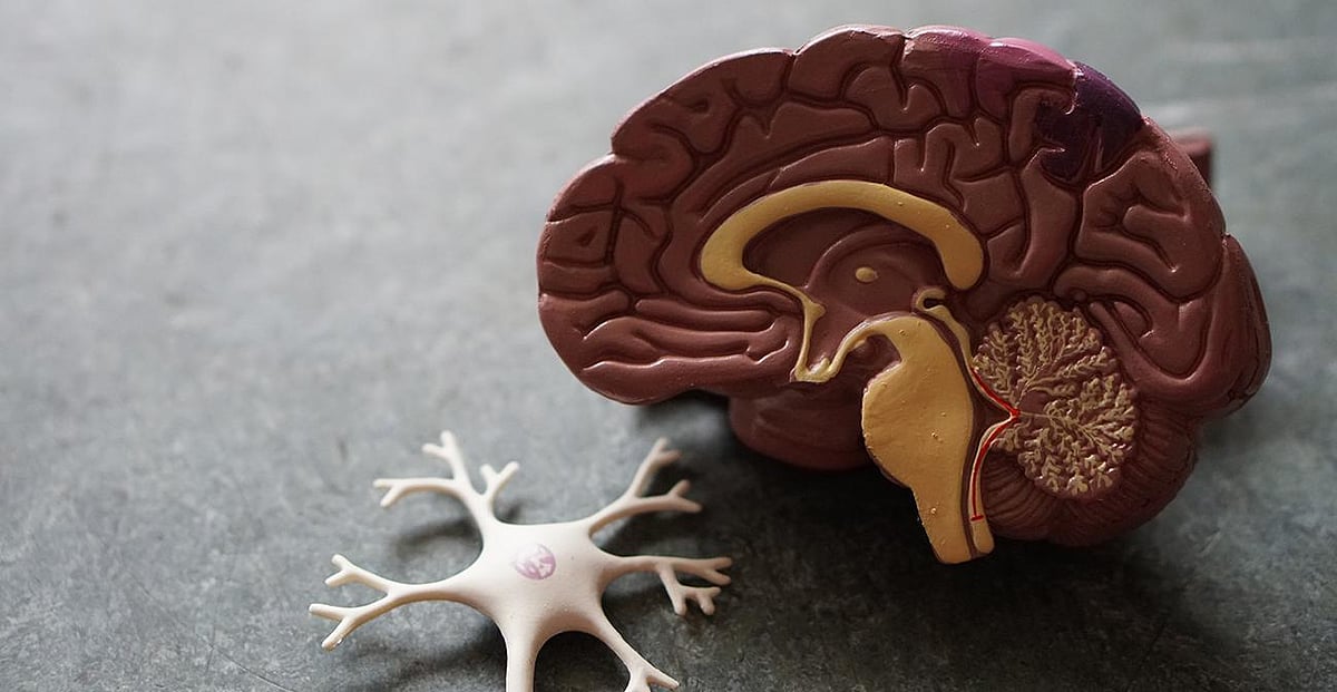 3 Top Natural Adderall Alternatives For Adults (2024) - OTC Adderall Substitutes For ADHD And Memory