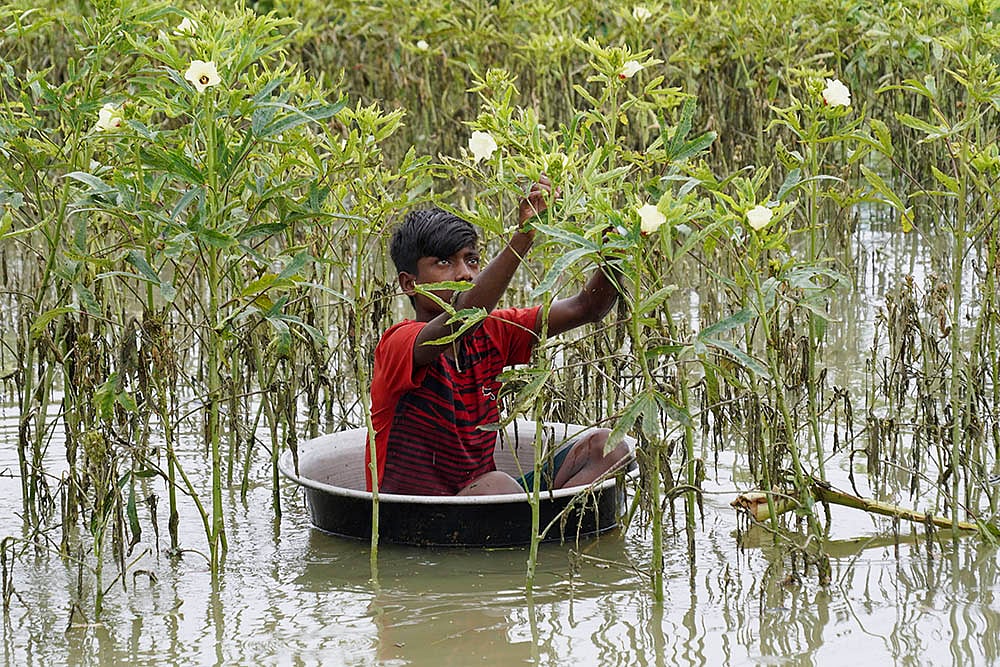Assam floods photo gallery_2