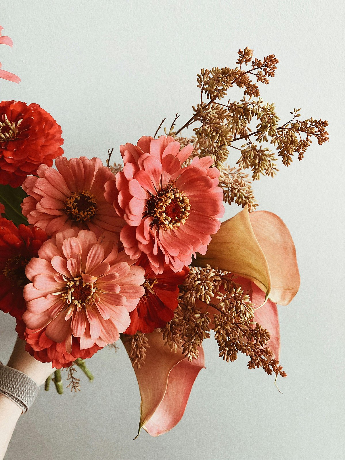 Healing Blooms: 5 Medicinal Flowers You Can Grow At Home