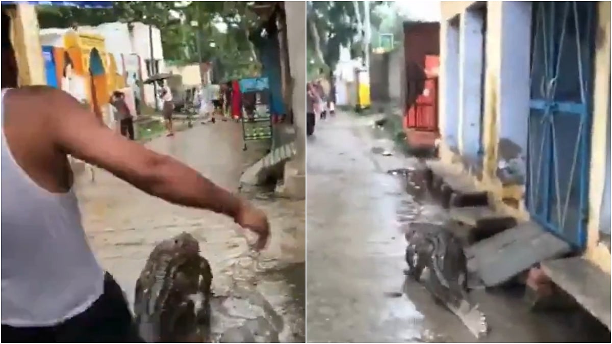Screengrabs from the viral video | 
