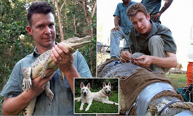 X/@MJS20221272 :  British crocodile expert Adam Britton
