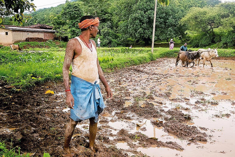Balak Lohra is relieved after a spell of rain