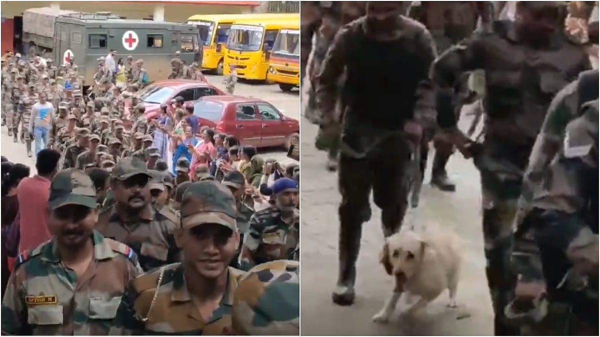 Screengrabs from the video | 