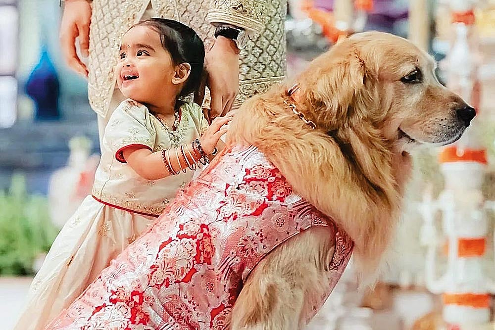 Pomp And Happiness, Anant Ambani and Radhika Wedding