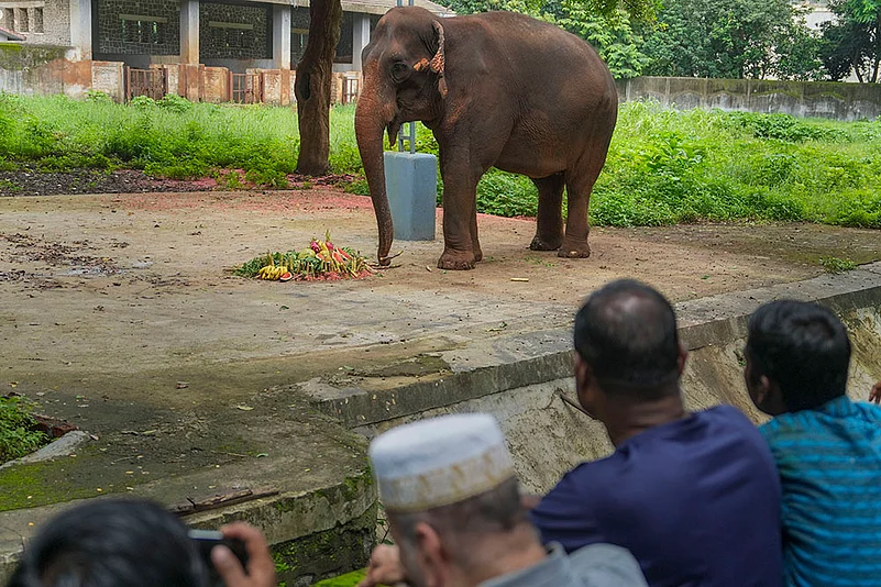 yculla zoo in Mumbai