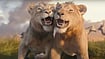 YouTube : A still from the trailer of 'Mufasa: The Lion King'