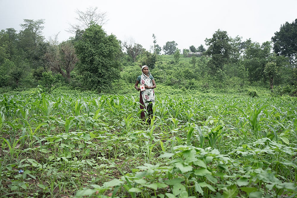 Rajasthan tribal: A Glimpse Of Hope In The Daily Struggle Of Survival_10