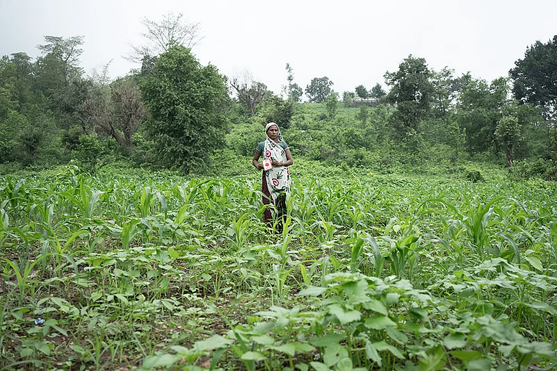 Rajasthan tribal: A Glimpse Of Hope In The Daily Struggle Of Survival_10