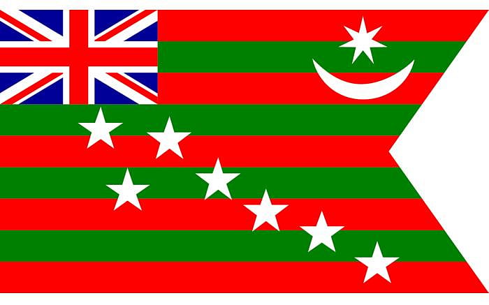 The Home Rule Movement Flag (1917)