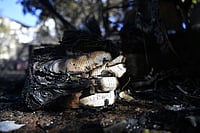 From Ashes To Dawn | Poem Photo: AP