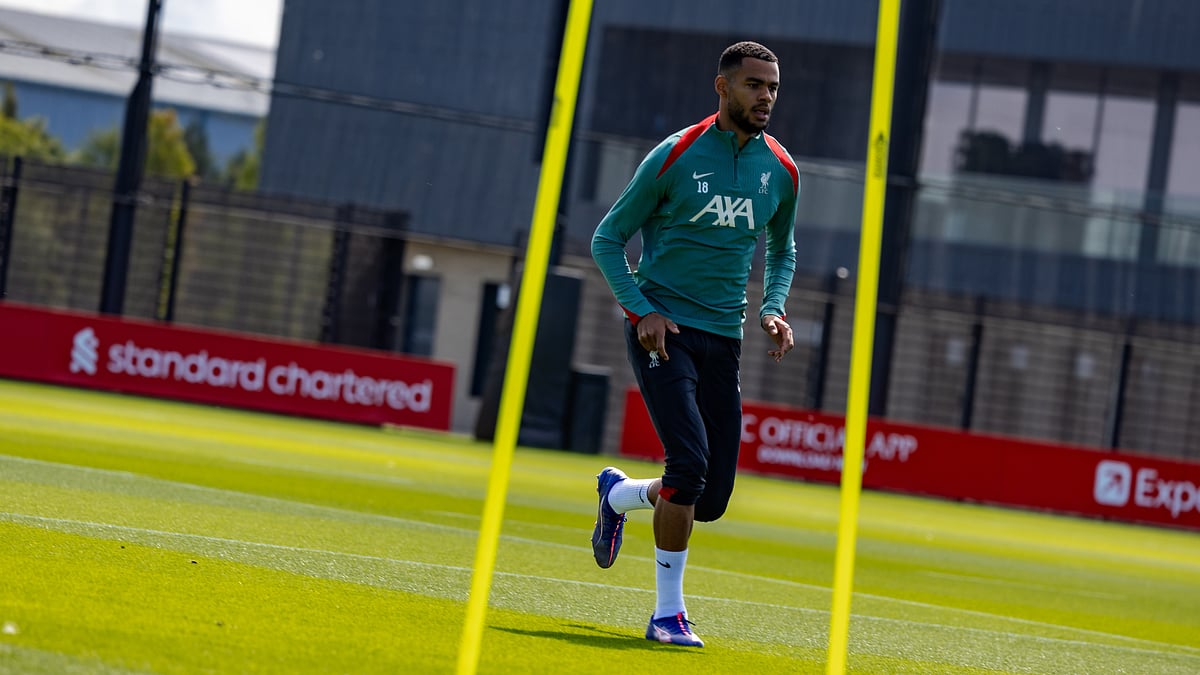 Cody Gakpo is confident he can continue his Euro 2024 form into the new Premier League season for Liverpool