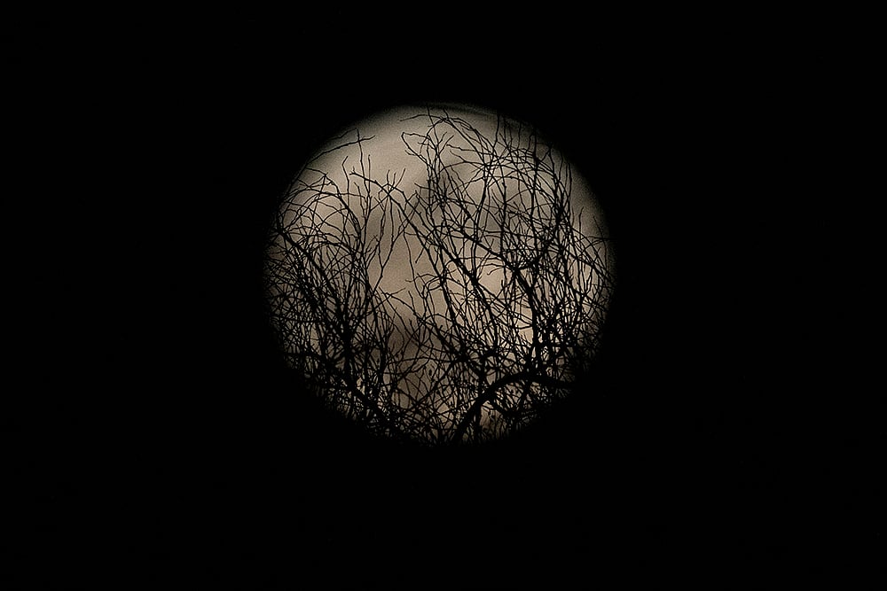 2024 August Full supermoon in Israel