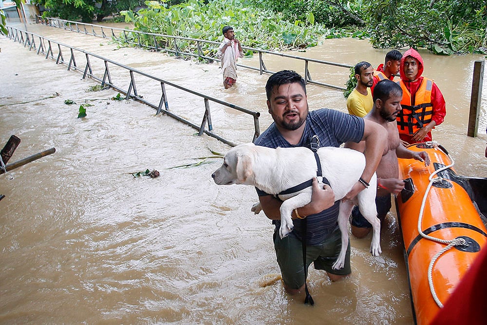 Flood in Tripura after heavy monsoon rainfall_3