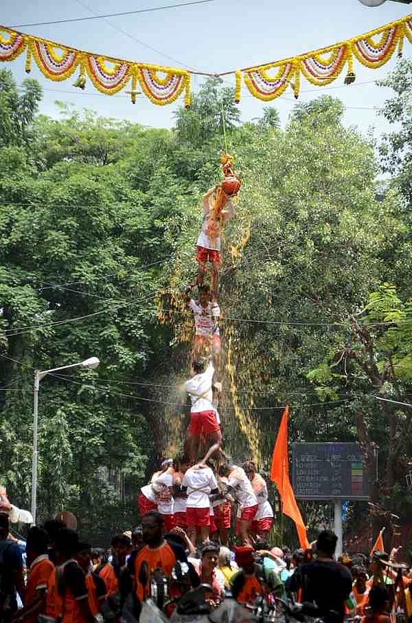 Dahi Handi