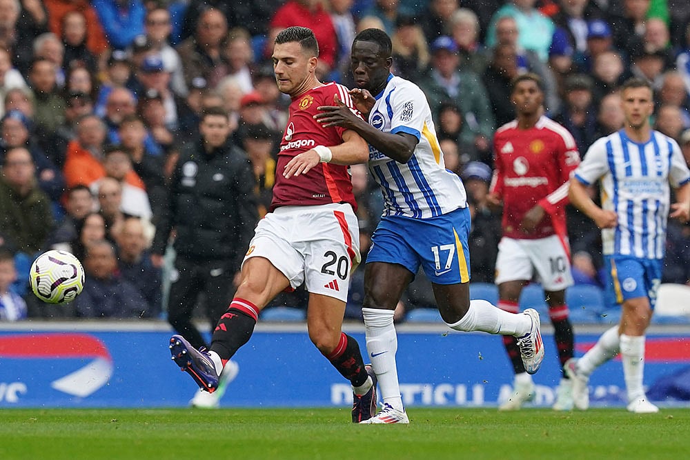 Brighton & Hove Albions Yankuba Minteh