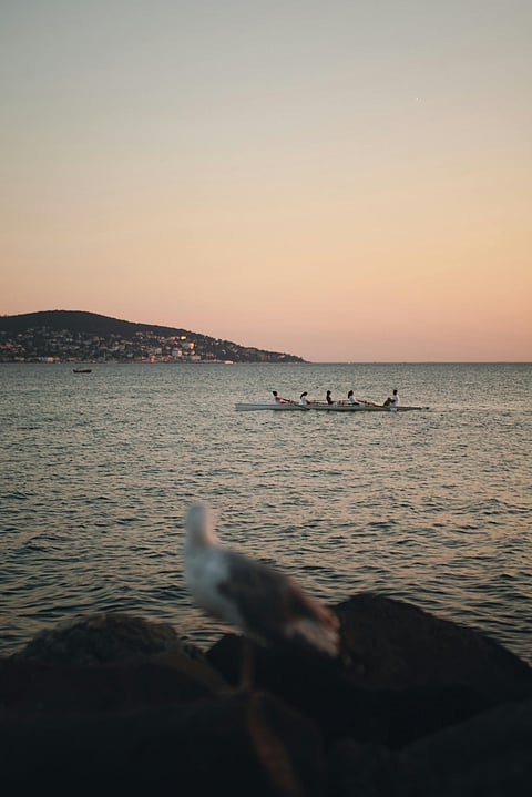 Travel