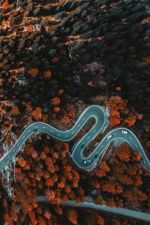 Travel