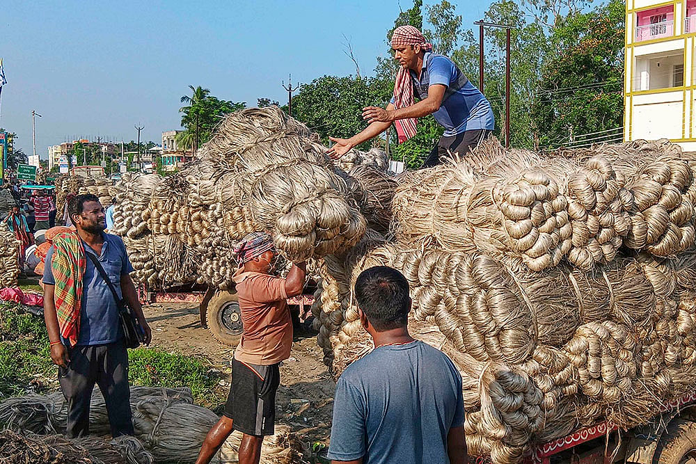 bundles of jute on carts, at Malda jute market 