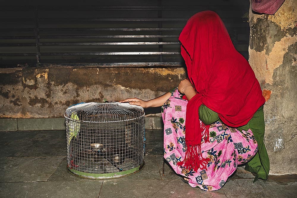 Photo: Animikh Chakrabarty : An Ongoing Ordeal: Shabnam at the night shelter with her pet parrot