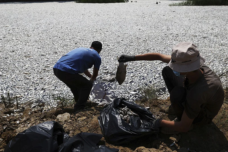Greece extreme climate fluctuations