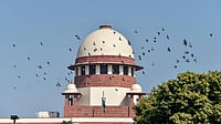 The 'Unconstitutional' Section 66A PTI : Supreme Court (Representational image)
