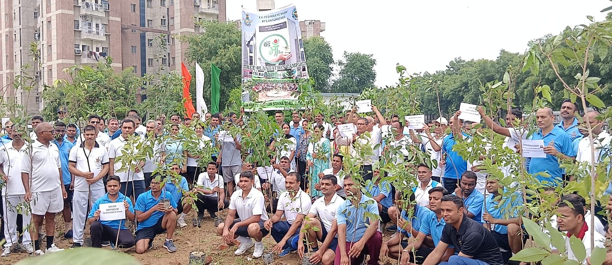 Tree Plantations