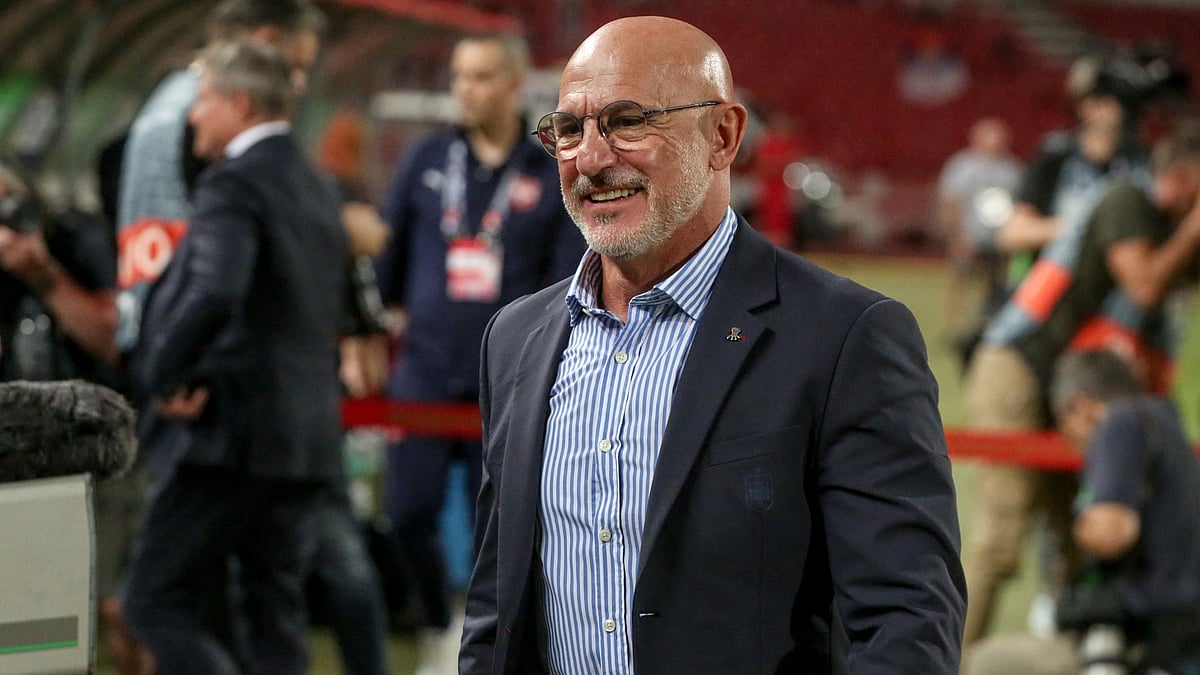 Spain head coach Luis de la Fuente