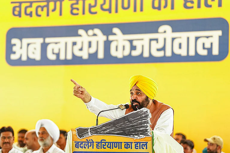 Chief Minister Bhagwant Mann has maintained that the video is manipulated and has been used selectively in political discourse. - Photo: PTI; Representative image