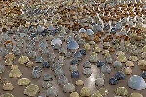Courtesy: Galleryske : Is The Water Chavdar: Installation artwork by Rajyashri Goody