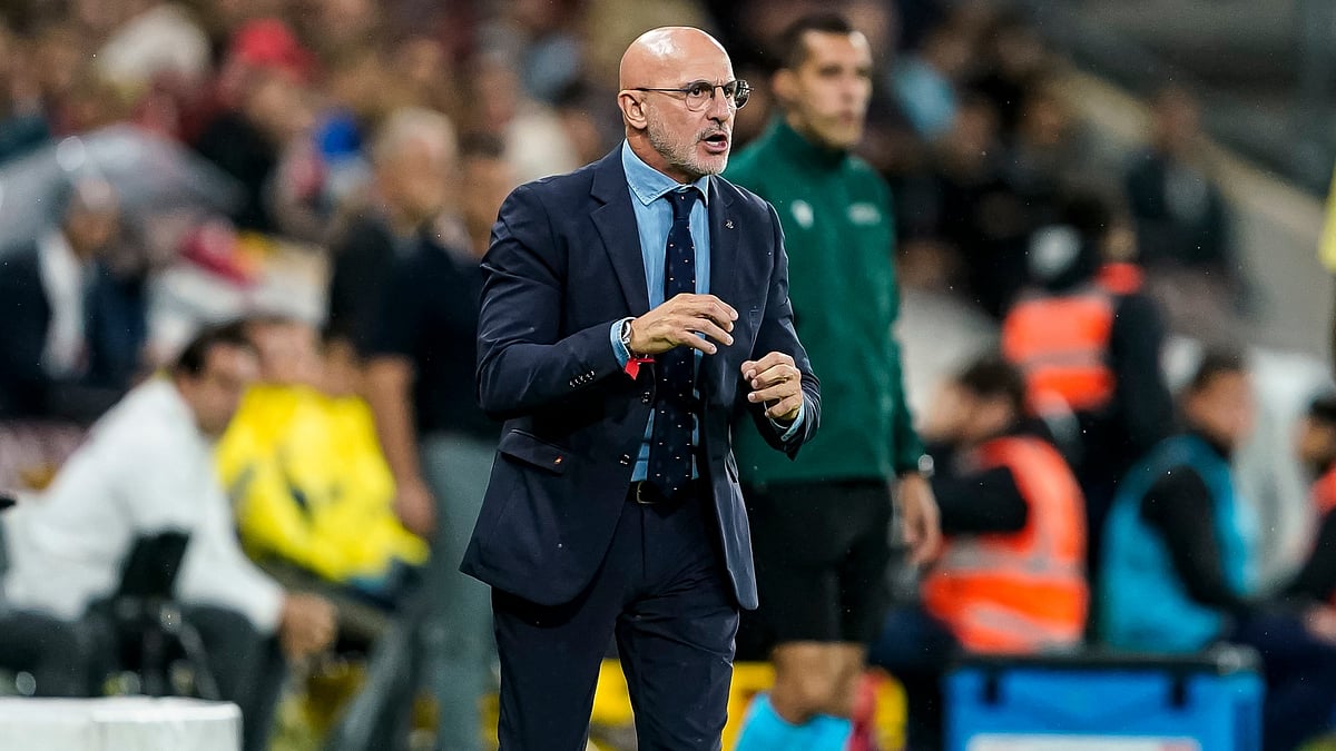 Spain head coach, Luis de la Fuente.