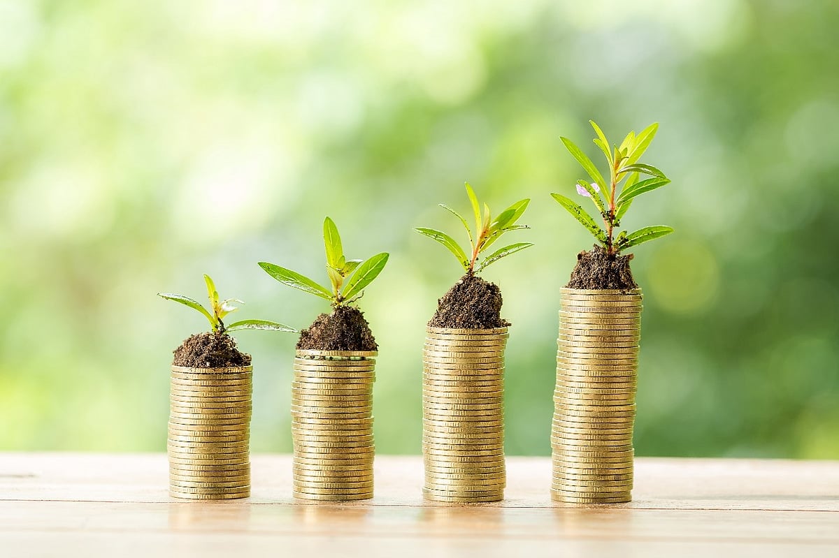 Understanding Mutual Fund Types