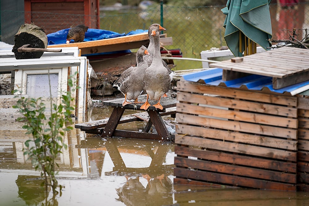 Central Europe Floods after Heavy rains_7