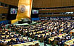 AP : Representative Image