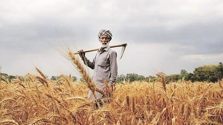 Revitalizing Indian Agriculture - null