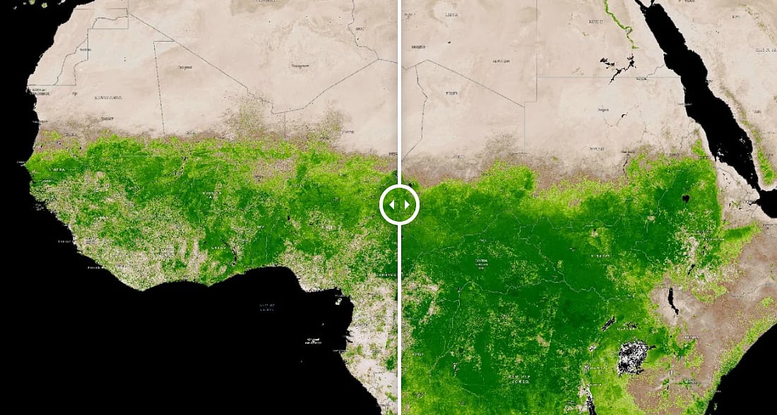  NASA MODIS satellite vegetation Africa Sahara 