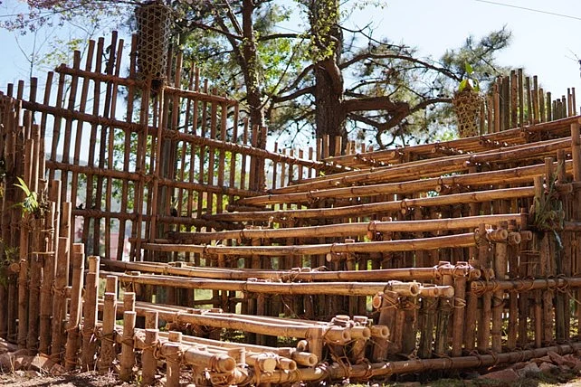 The living root pavilion under construction at Shillong’s North-Eastern Hill University