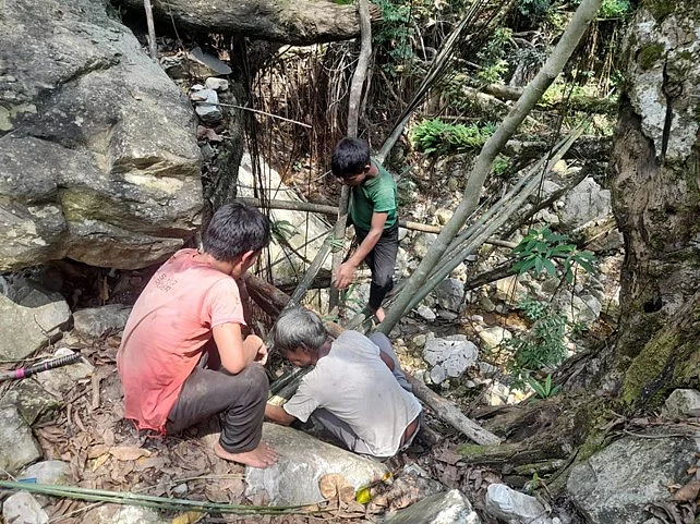 Maintenance of a root bridge is a community effort, spanning generations.