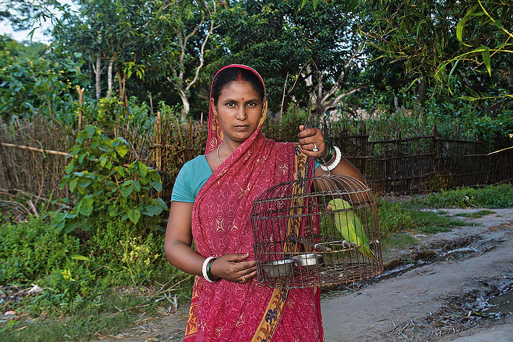 Photos: Sandipan Chatterjee : Puspomala Mandol, 27, was displaced from her village in 2023. She managed to rescue her parrot. The family members moved to a new village in Malda and are trying to restart their lives. The pet parrot got a new lease of life, too.