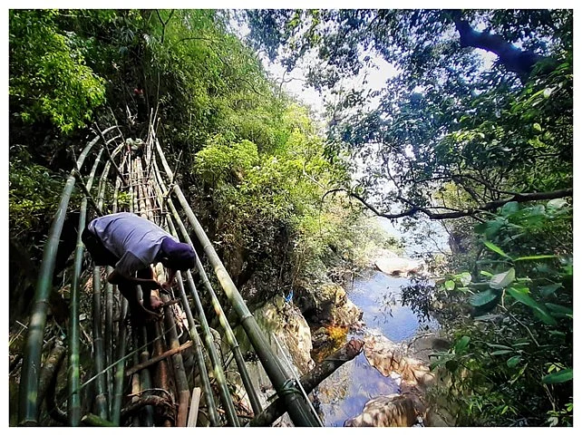 Meghalaya’s living root bridges take decades to grow