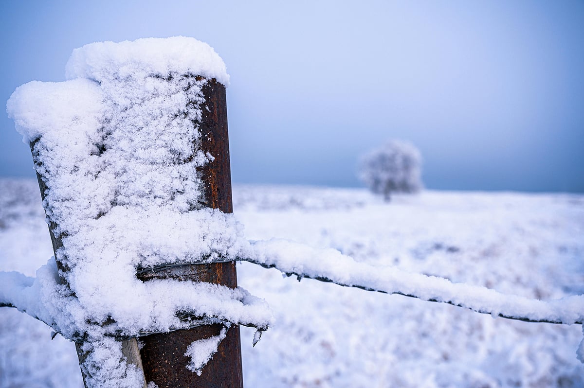 Pexels : Snowstorm In South Africa Kills 2